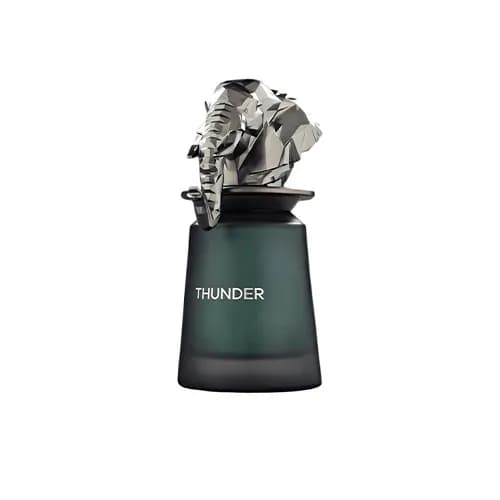 French Avenue Thunder Edp M 100ML