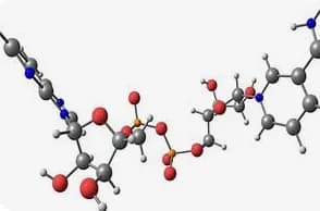 Pept Acetic Acid 1MG