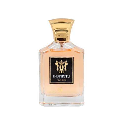 Dumont Inspiritu Edp M 100ML