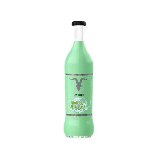Ignite V25 Icy Mint