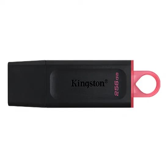 Pen Drive 256GB Kingston DTX/256GB Exodia USB 3.2