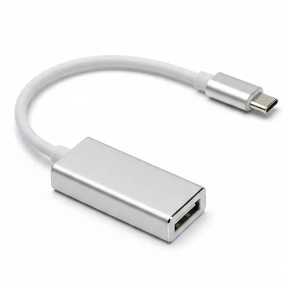 Cabo Adaptador USB-C para Displayport H
