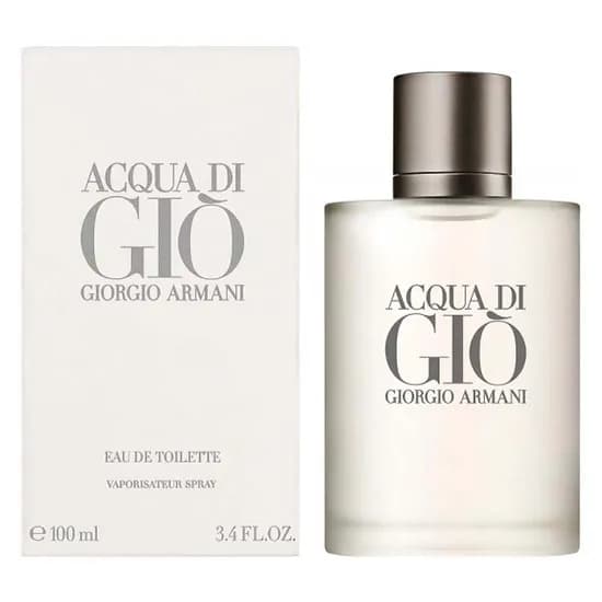 Perfume Giorgio Armani Acqua Di Gio Eau de Toilette Masculino 100ML