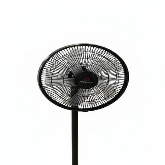 MT Ventilador c/C 220V/50HZ PY RG-108C Negro