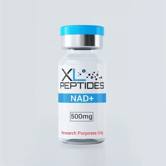 XL Peptides - Nad+ 500MG