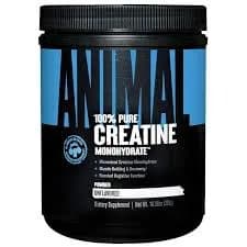 BSN Creatine Dna 309G