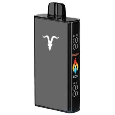 Ignite Vaper V250 Gold 25000PUFFS Menthol