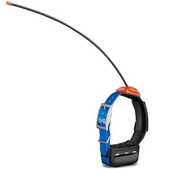Coleira T5X Garmin