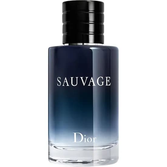 Perfume Christian Dior Sauvage Edt Masculino - 100ML (28856)