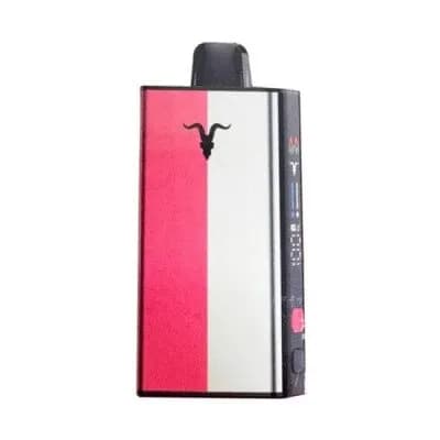 Ignite V-Mix 40K Straw Ice/Pine Mango Ice