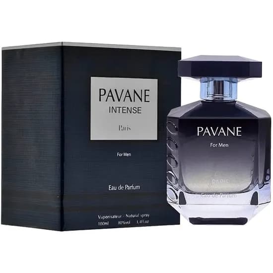 Perfume Masculino Elodie Roy Pavane Intense Edp 100 ML