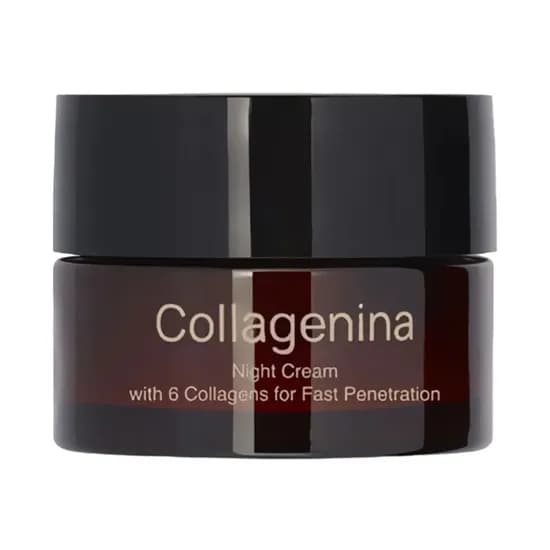 Collagenina Crema Tratamiento Grado 3 c/6 Colageno Night 50ML