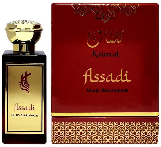 Perfume Kalimat Assadi Oud Sauvage Edp 100ML - Unissex