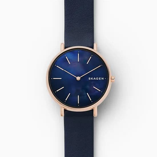 Relogio Skagen SKW2731