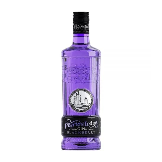 Gin Puerto de Indias Blackberry Litro