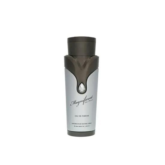 Armaf Magnificent Pour Homme