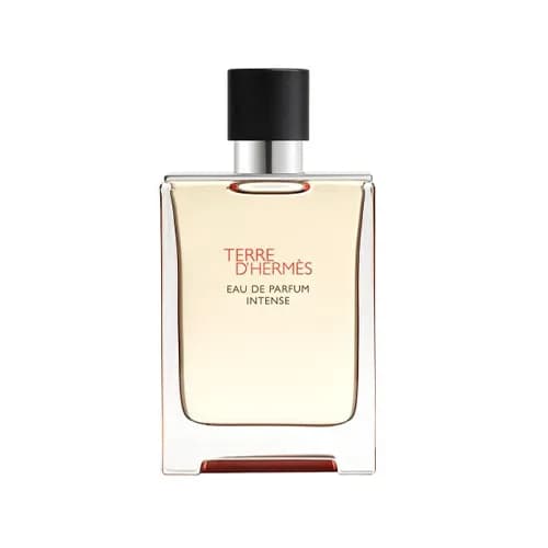 Hermes Terre D'Hermes Parfum Intense M 50ML