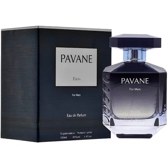 Perfume Masculino Elodie Roy Pavane Edp 100 ML