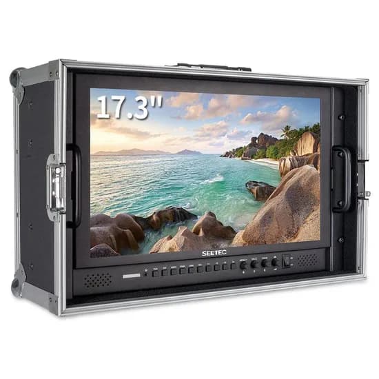 Monitor Seetec P173-9HSD-Co LCD 17.7"/4K