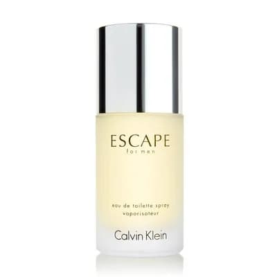 Perfume Calvin Klein Escape Masculino Edt 100ML