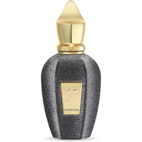 Xerjoff Perfume Ouverture Unisex Eau de Parfum 100ML
