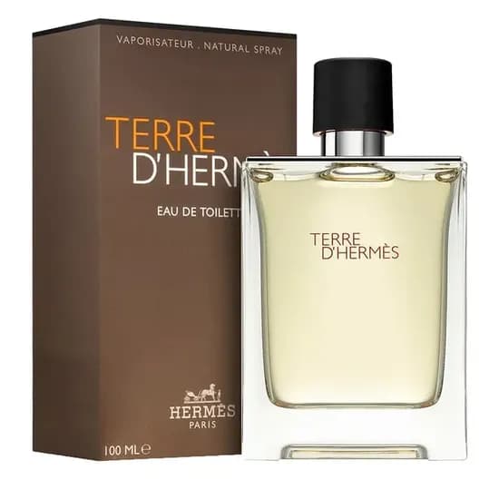 Hermes Perfume Terre D'Hermes M Eau de Toilette 100ML