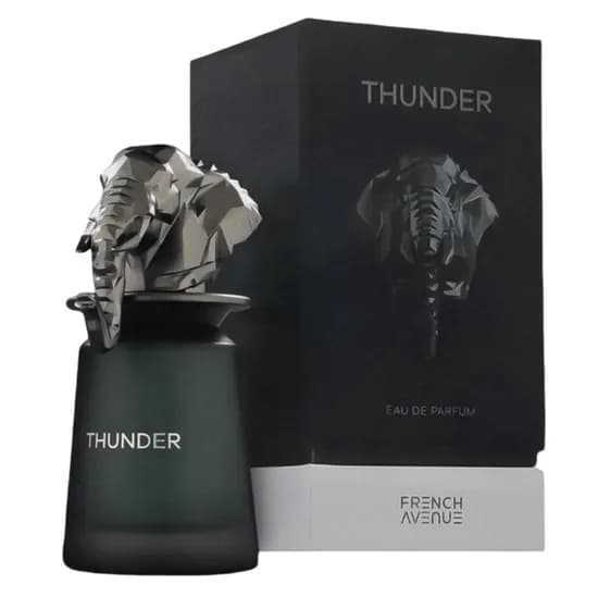 Perfume French Avenue Thunder Eau de Parfum Masculino 100ML
