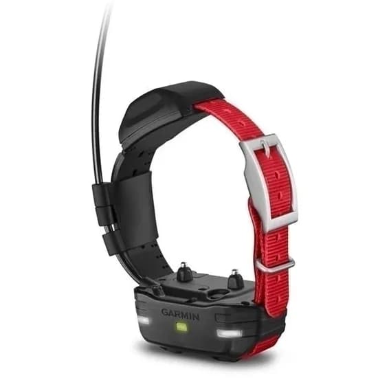Coleira Garmin TT15X para Cães e Treinamento GPS