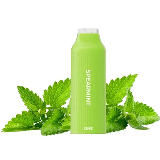 Vaper Moti One 4000 Puff Refil Spearmint 5%