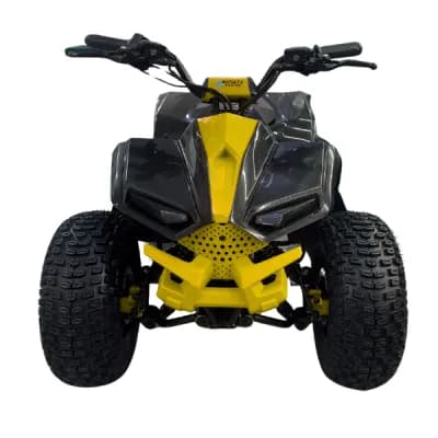 Moto Eletrica Velocifero MAD1600 1000W Green