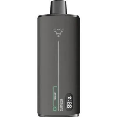 Vaper Descartavel The Black Sheep Slim Fresh Mint 10000PUFFS