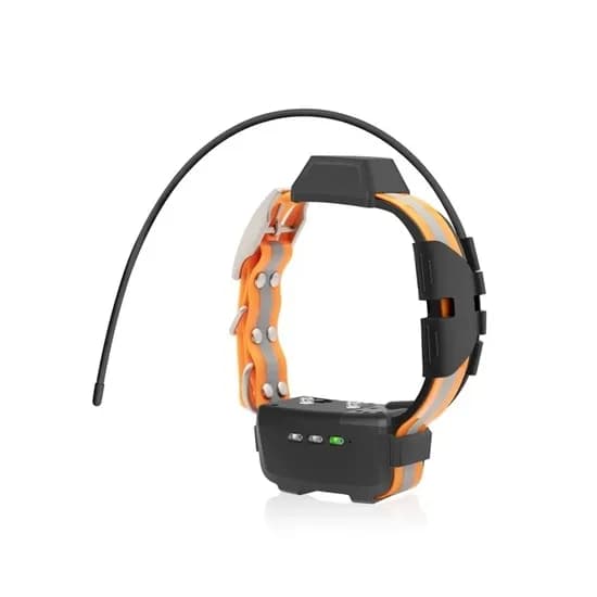 Coleira com GPS TR-Dog R50
