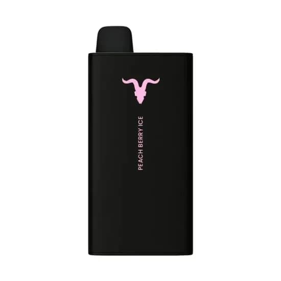Ignite V400 Sweet Peach Berry Ice 40.000 Puffs