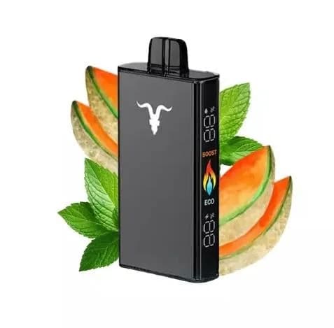 Ignite V250 Black Minty Melon