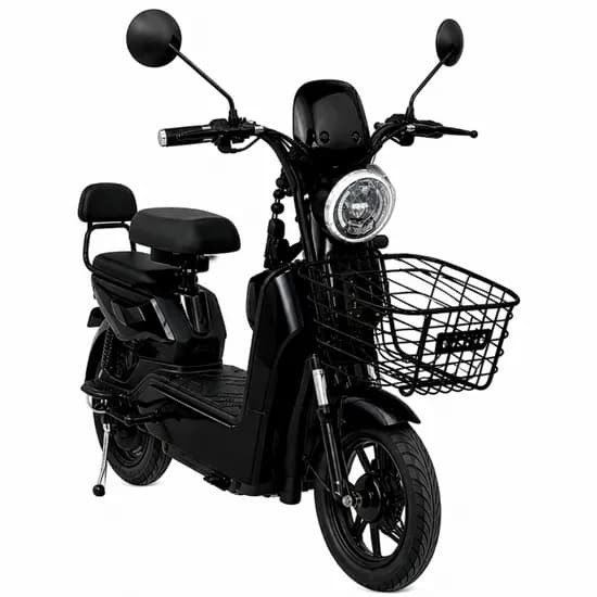 Moto Eletrica s-Ge 500W Preto