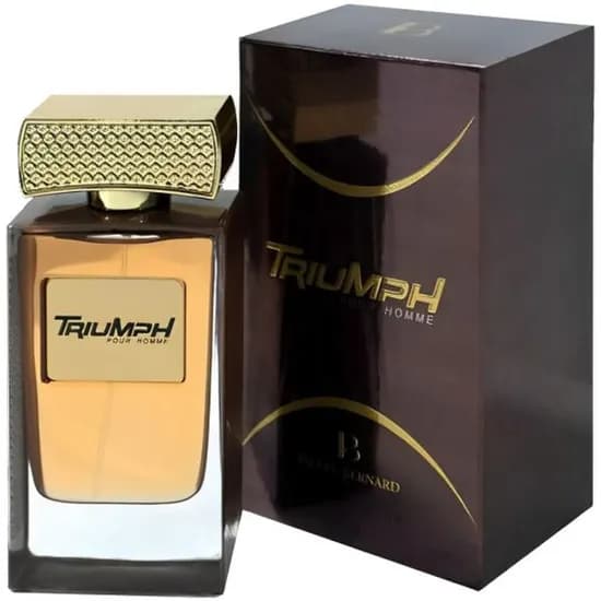 Perfume Masculino Pierre Bernard Triumph Edp 100ML